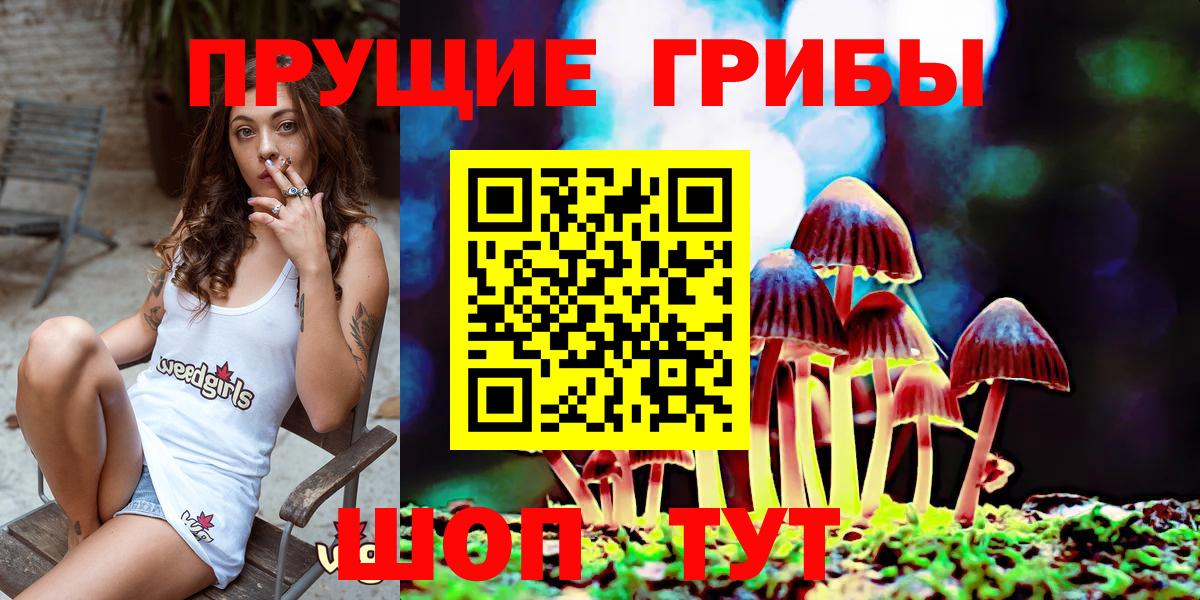 Псилоцибиновые грибы MAGIC MUSHROOMS  Вход с VPN  Ростов Великий  Галлюциногенные грибы GOLDEN TEACHER 