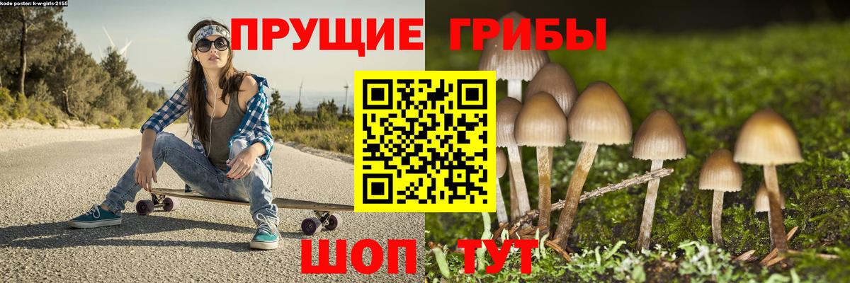 Псилоцибиновые грибы Cubensis Ростов Великий